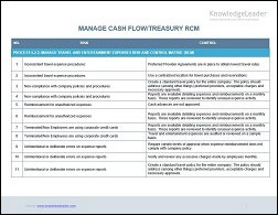 Cash and Treasury Management Risk and Control Matrix (RCM)