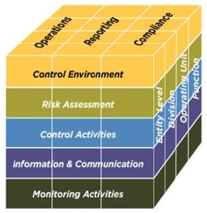 Screenshot of coso risk assessment image 